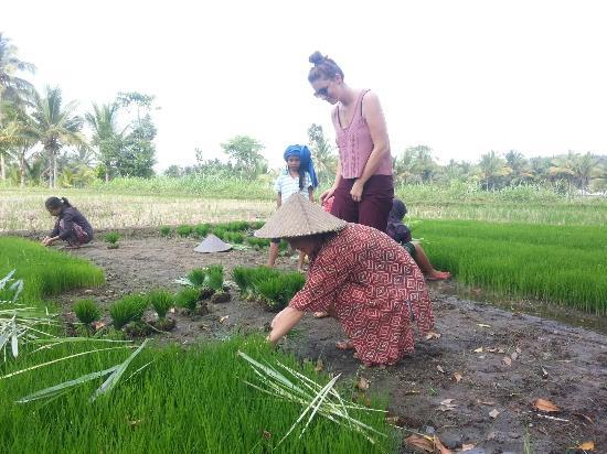 Tetebatu Tourist Village